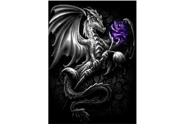 Cuadros De Dragones