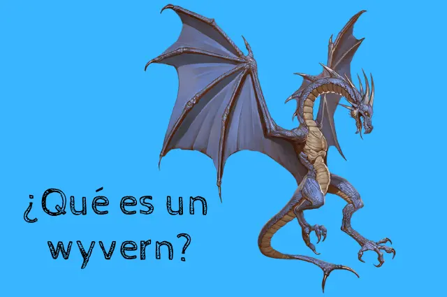 Qué Es Un Wyvern
